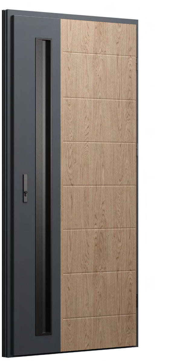 FUTURE INOX FI12
